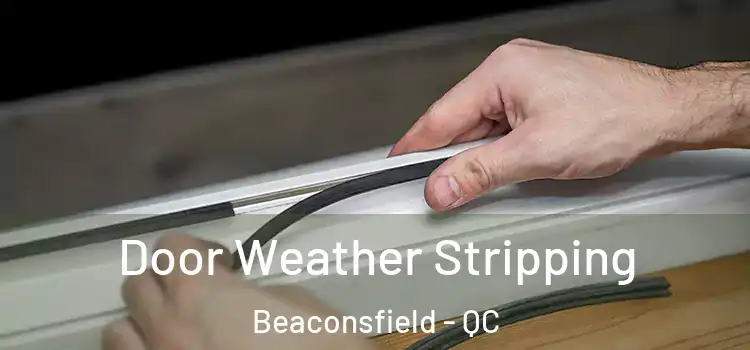  Door Weather Stripping Beaconsfield - QC