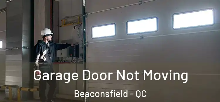  Garage Door Not Moving Beaconsfield - QC
