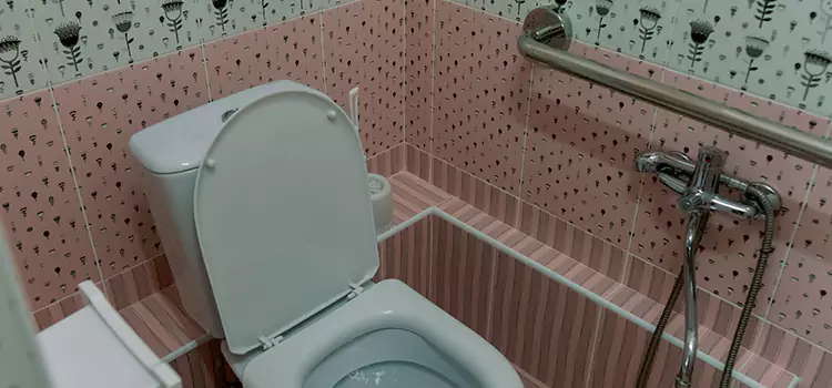 Meeting Diverse Needs With Accessible Restroom Solutions in Beaconsfield, QC